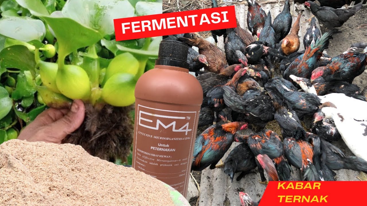 Teknik Fermentasi