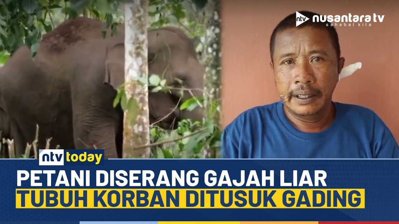 Kronologi Petani Tewas