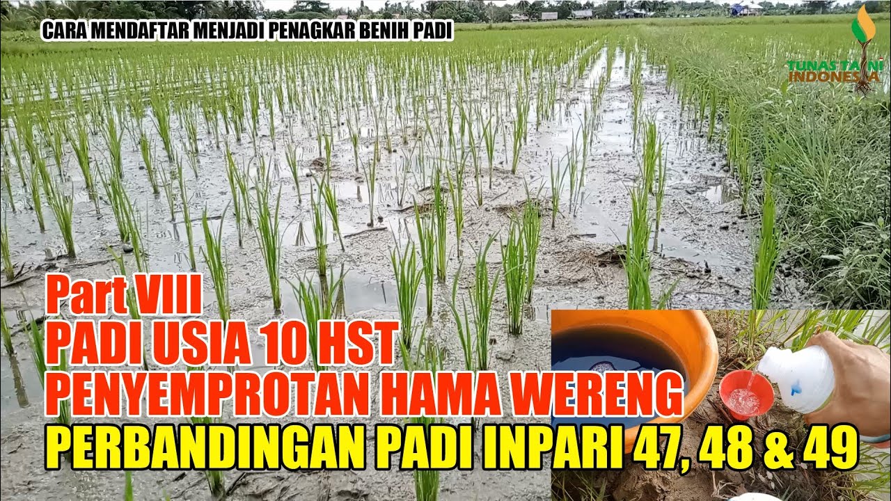 Tips Ampuh Mendeteksi