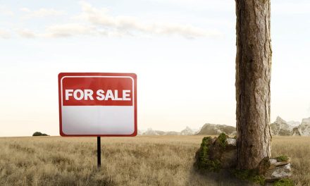 Syarat Penting Menjual Tanah Agar Terhindar Dari Mafia Tanah!