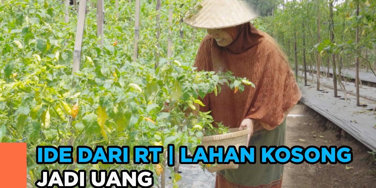 Model Kebun Komunal RT Yang Murah, Mudah, Dan Menghasilkan