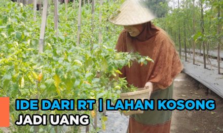 Model Kebun Komunal RT Yang Murah, Mudah, Dan Menghasilkan