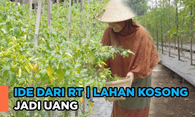 Model Kebun Komunal RT Yang Murah, Mudah, Dan Menghasilkan