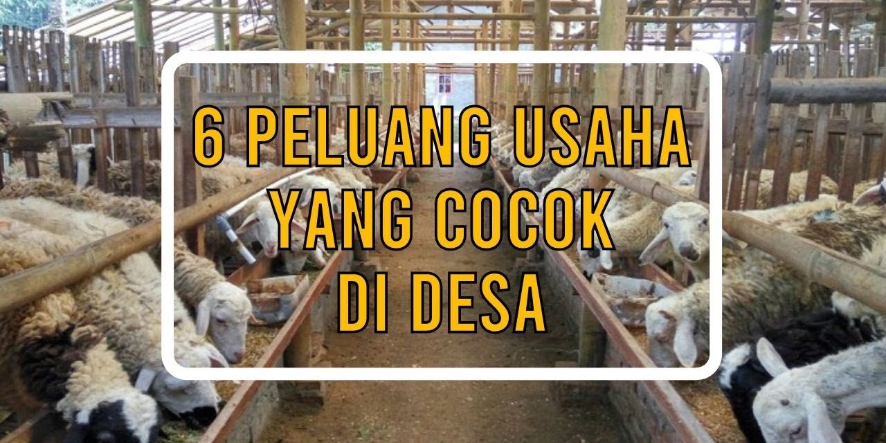 Peluang Usaha Peternakan Kolektif Di Desa Yang Menjanjikan