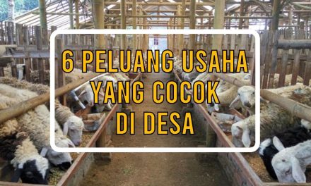 Peluang Usaha Peternakan Kolektif Di Desa Yang Menjanjikan