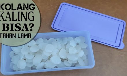 Tips Agar Kolang Kaling Tahan Lama Di Simpan Dalam Kulkas