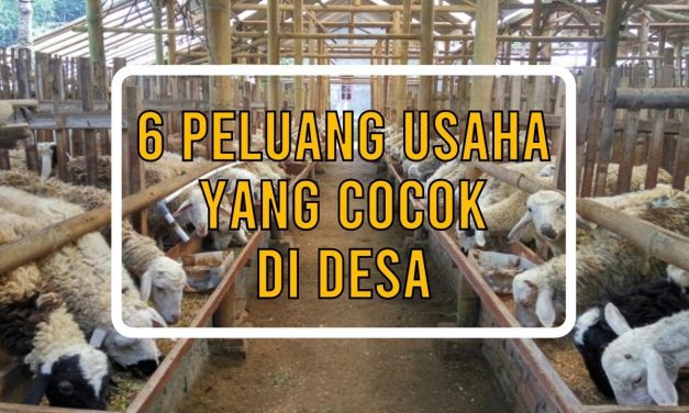 Peluang Usaha Peternakan Kolektif Di Desa Yang Menjanjikan