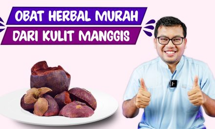 Manfaat Dari Kulit Manggis Untuk Kecantikan Dan Juga Kesehatan