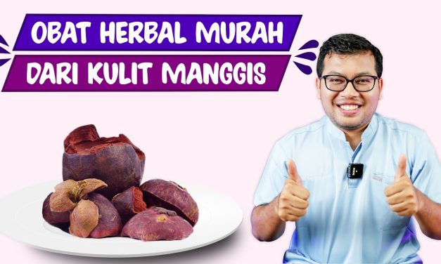 Manfaat Dari Kulit Manggis Untuk Kecantikan Dan Juga Kesehatan