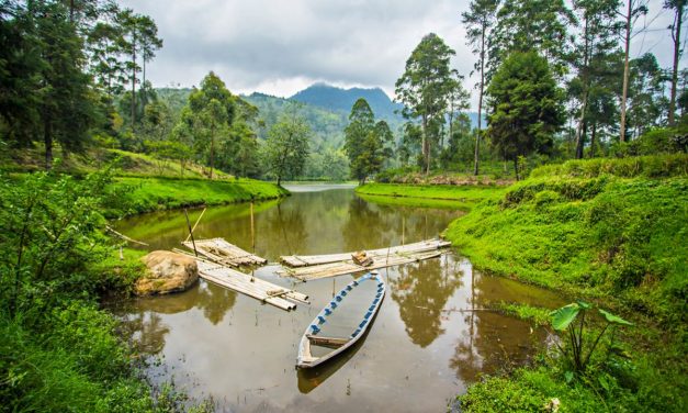 Peran Air Sungai Mendukung Kehidupan Warga Dan Ekosistem