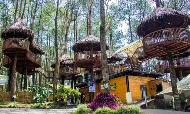 Salatiga, Perpaduan Udara Sejuk, Budaya Dan Wisata Edukatif
