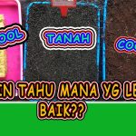 Analisis Cocopeat Dan Rockwool: Mana Yang Lebih Tepat?