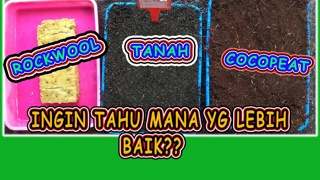 Analisis Cocopeat