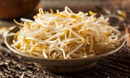 Mitos Vs Fakta Sayur Tauge Bisa Membuat Cepat Hamil ?
