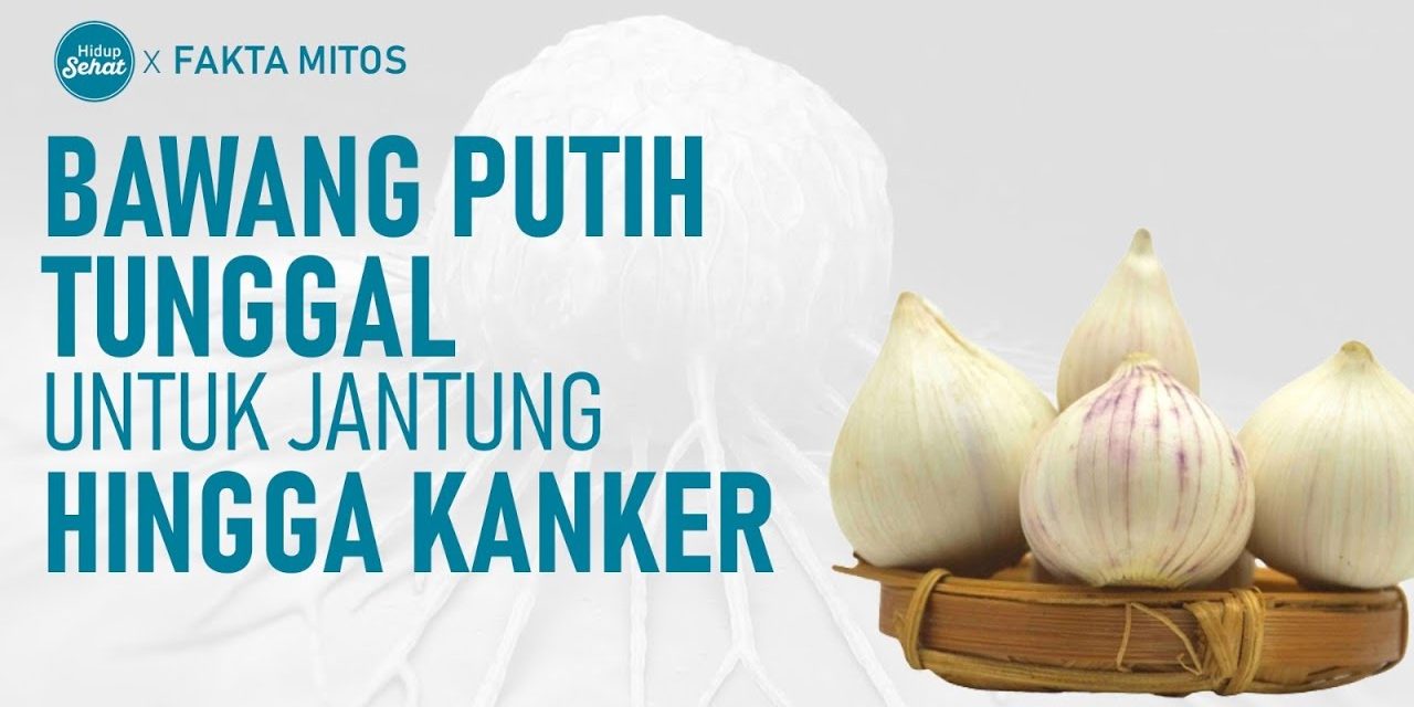 Khasiat Bawang Lanang Bisa Bikin Tubuh Anda Sehat Dan Kuat!