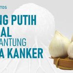 Khasiat Bawang Lanang Bisa Bikin Tubuh Anda Sehat Dan Kuat!