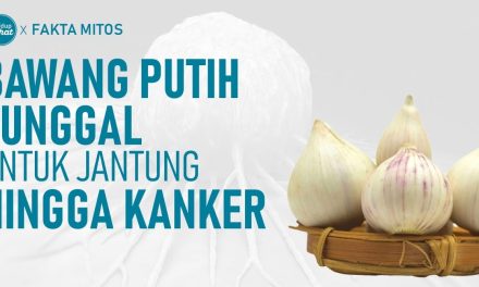 Khasiat Bawang Lanang Bisa Bikin Tubuh Anda Sehat Dan Kuat!