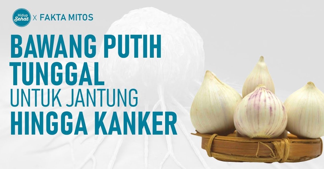 Khasiat Bawang Lanang