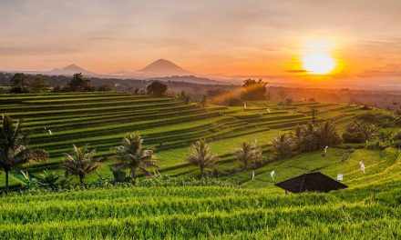 Eksplorasi Ubud Dari Sawah Terasing Hingga Kehidupan Spiritual