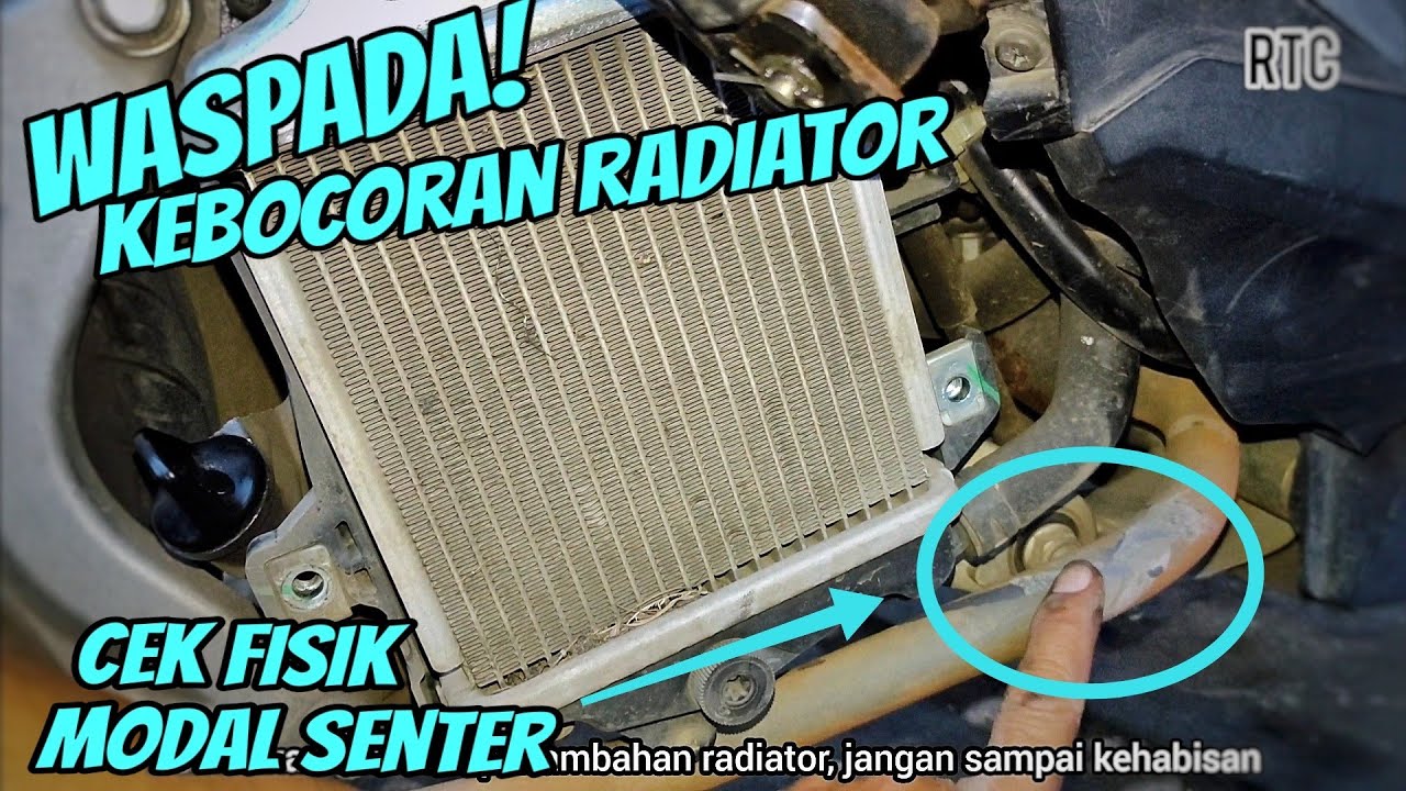 Radiator Motor